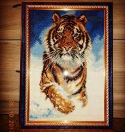623 Амурский тигр фото 1