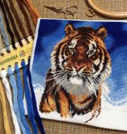 623 Амурский тигр фото 2
