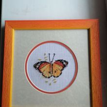 0-148 Яркие бабочки. Оранжевая