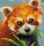 1627 "Красная панда" фото 2