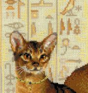1671 "Абиссинские кошки" фото 1