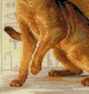 1671 "Абиссинские кошки" фото 3