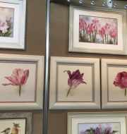 2-37 Розовые тюльпаны фото 1