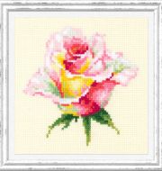 150-004 Нежная роза фото 1