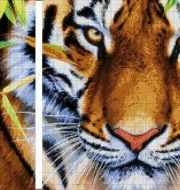 45-2940-НДТ "Дальневосточный тигр" - набор для вышивания фото 2