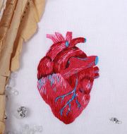 JK-2195 Анатомическое сердце фото 3