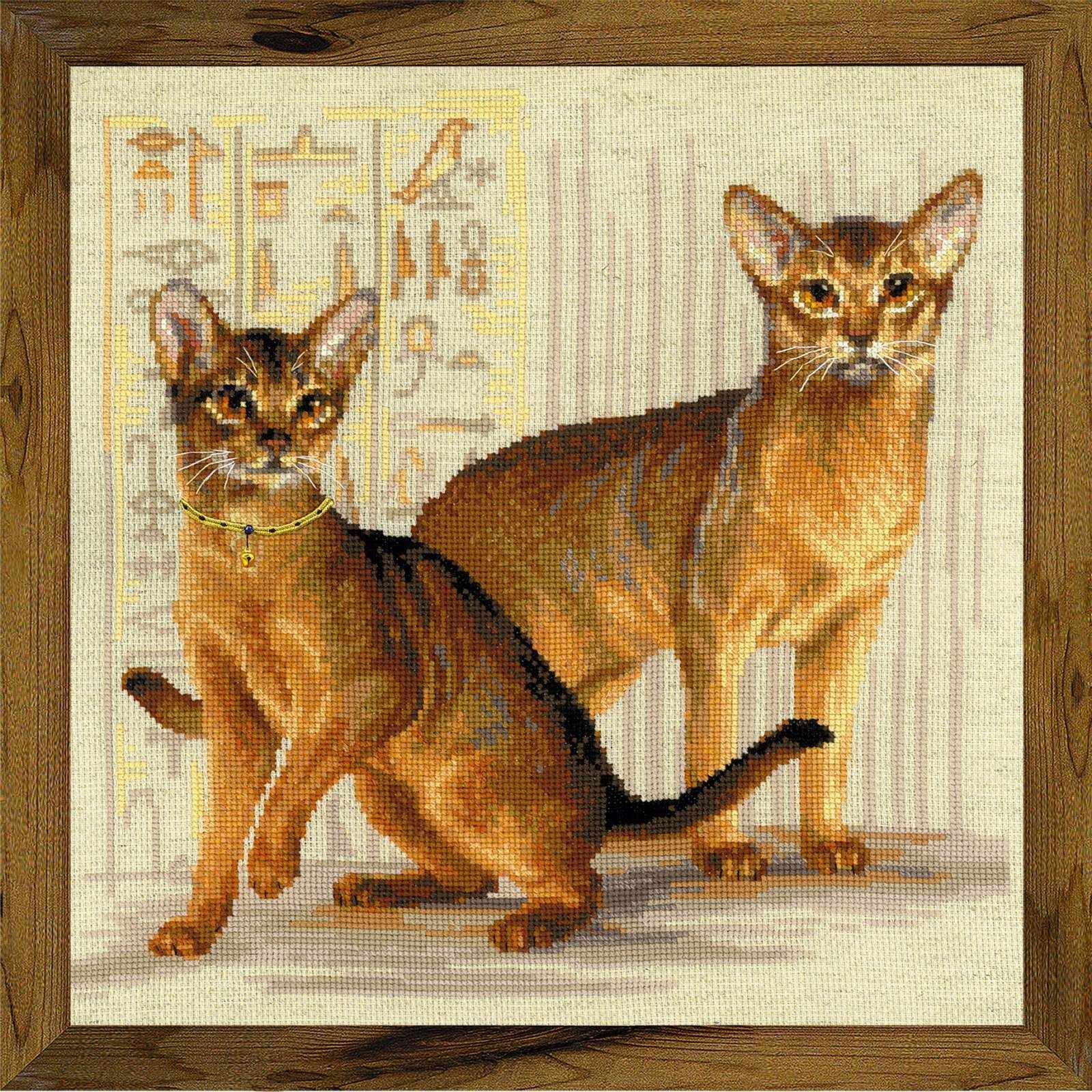 1671 "Абиссинские кошки"