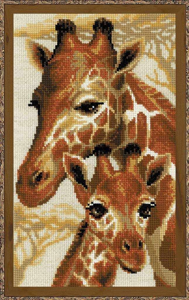 1697 "Жирафы"