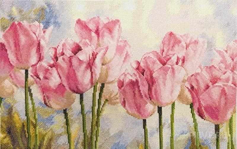 2-37 Розовые тюльпаны