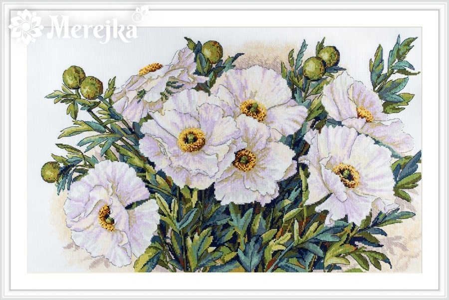 2809730-k-118-white-flowers.jpg