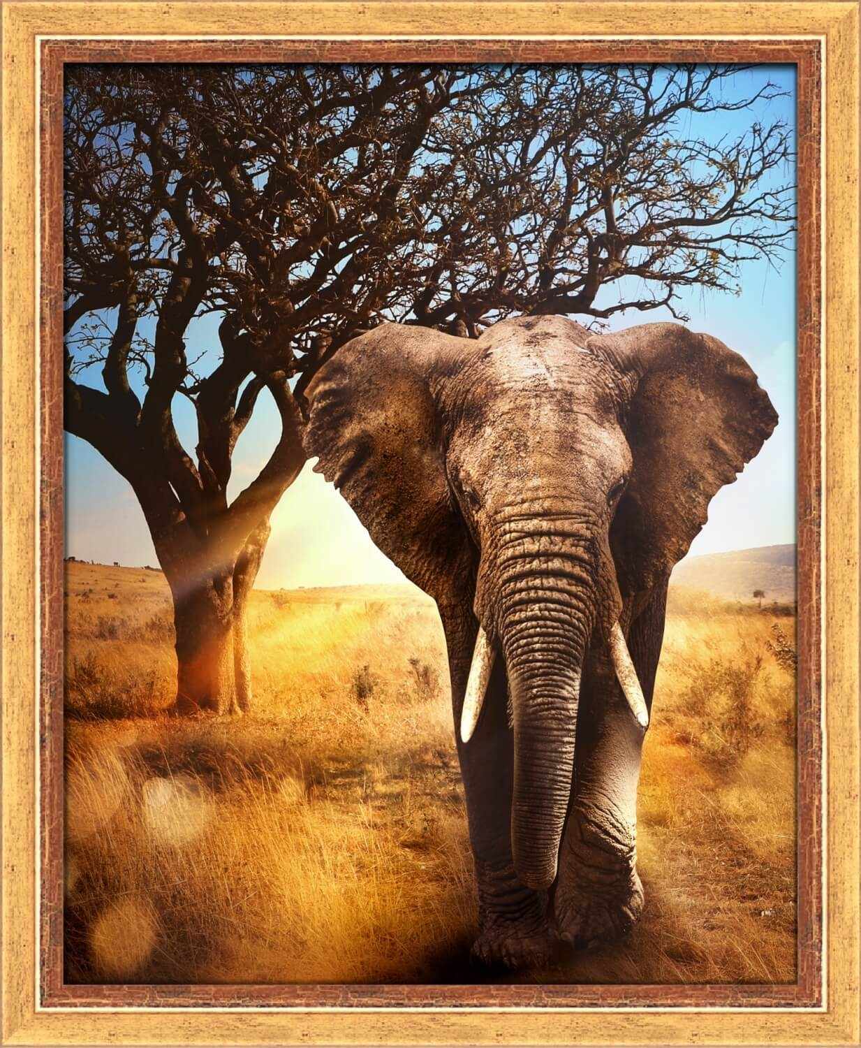 Алмазная вышивка Африканский слон (АЖ-1783) - картина стразами