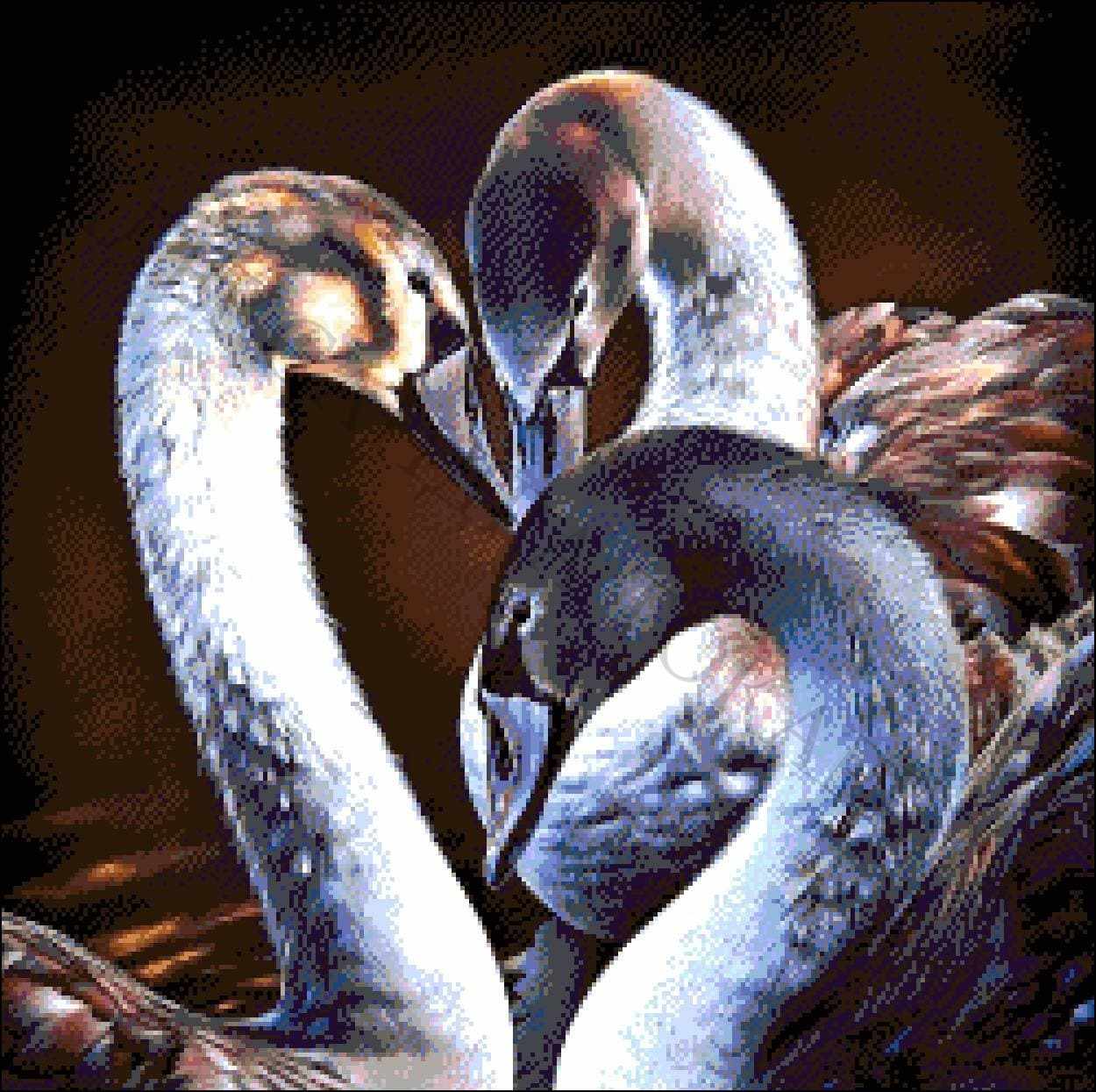 43-2116-НЧ "Черные лебеди" - набор для вышивания
