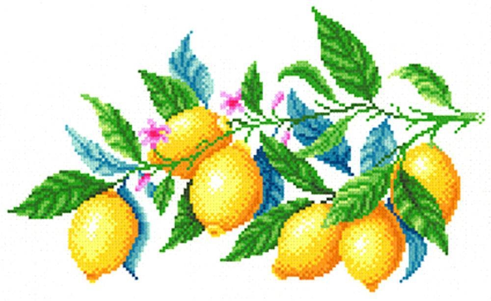 Мп студия рисунок на канве