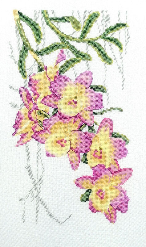 04.004.16 Орхидеи (МИ)