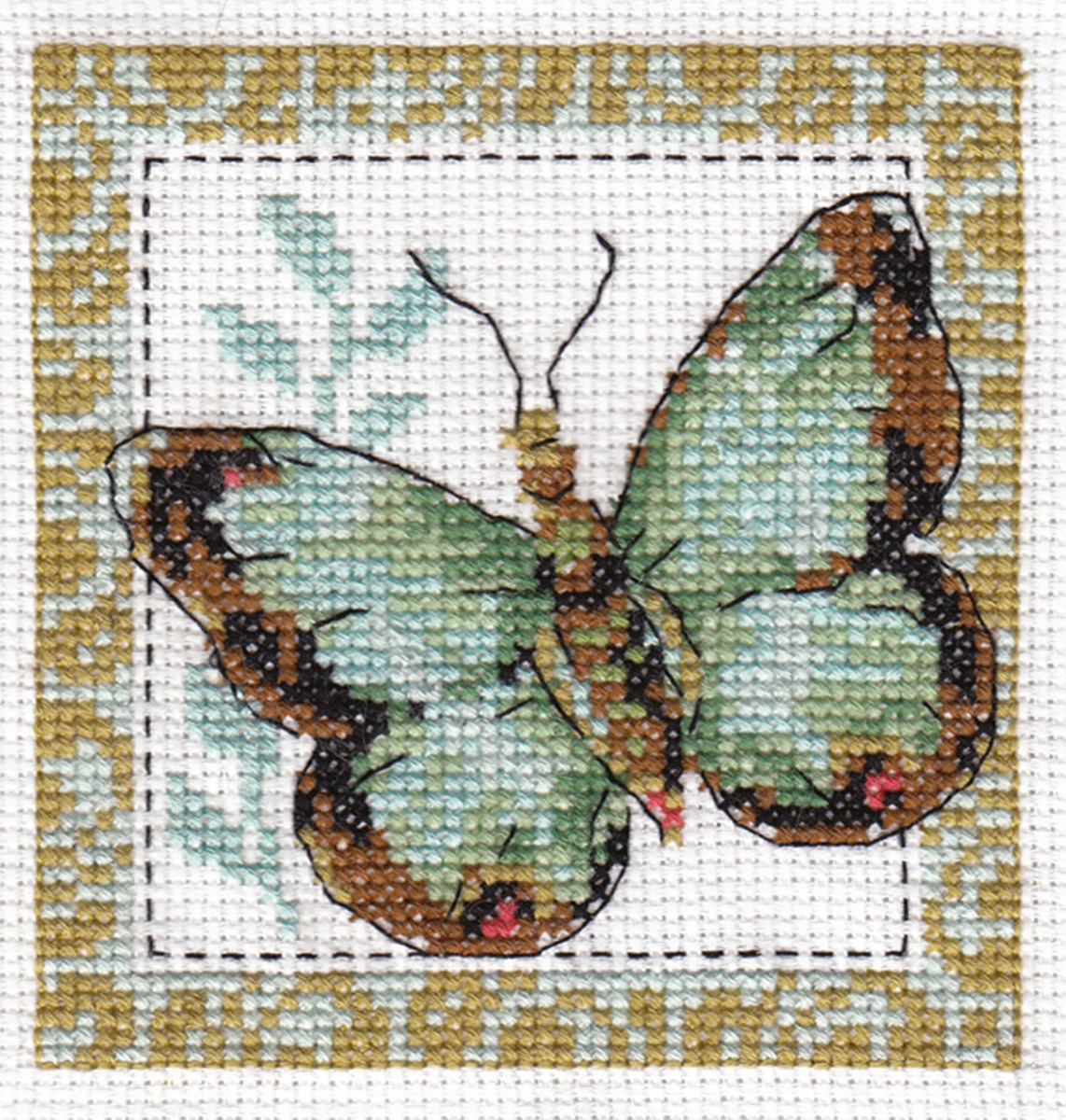 5-056 Бабочка салатная