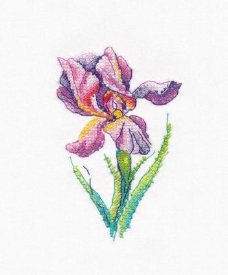 1425 Радужный цветок (Овен)