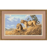 3866 DMS Африканские львы