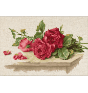 BL22411 Красные розы