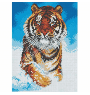 623 Амурский тигр