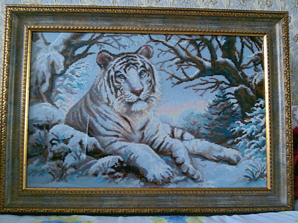1184 "Бенгальский тигр"