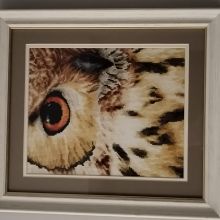 PN-0157518 Owl