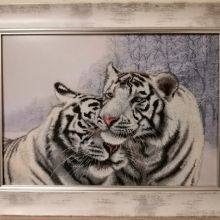 СВ3222 Бенгальские тигры