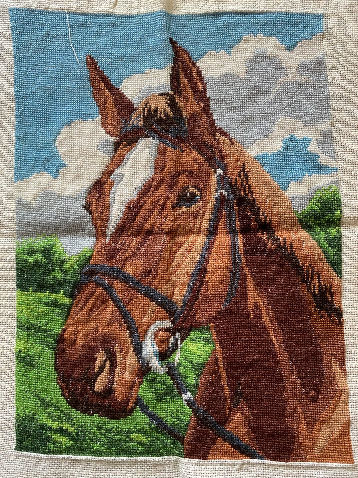 39-2394-НК "Конь" - набор для вышивания